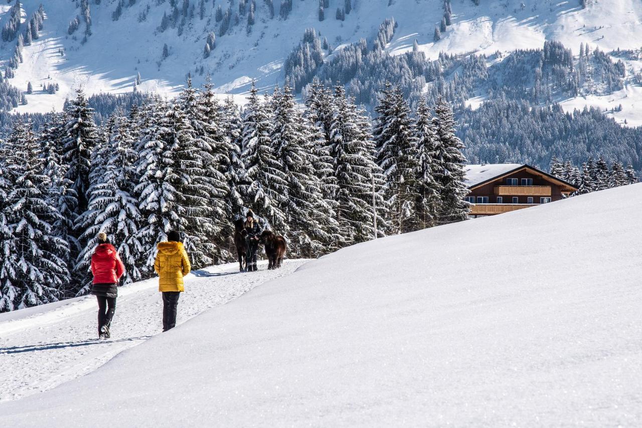 Hotel Alpengasthof Hoernlepass