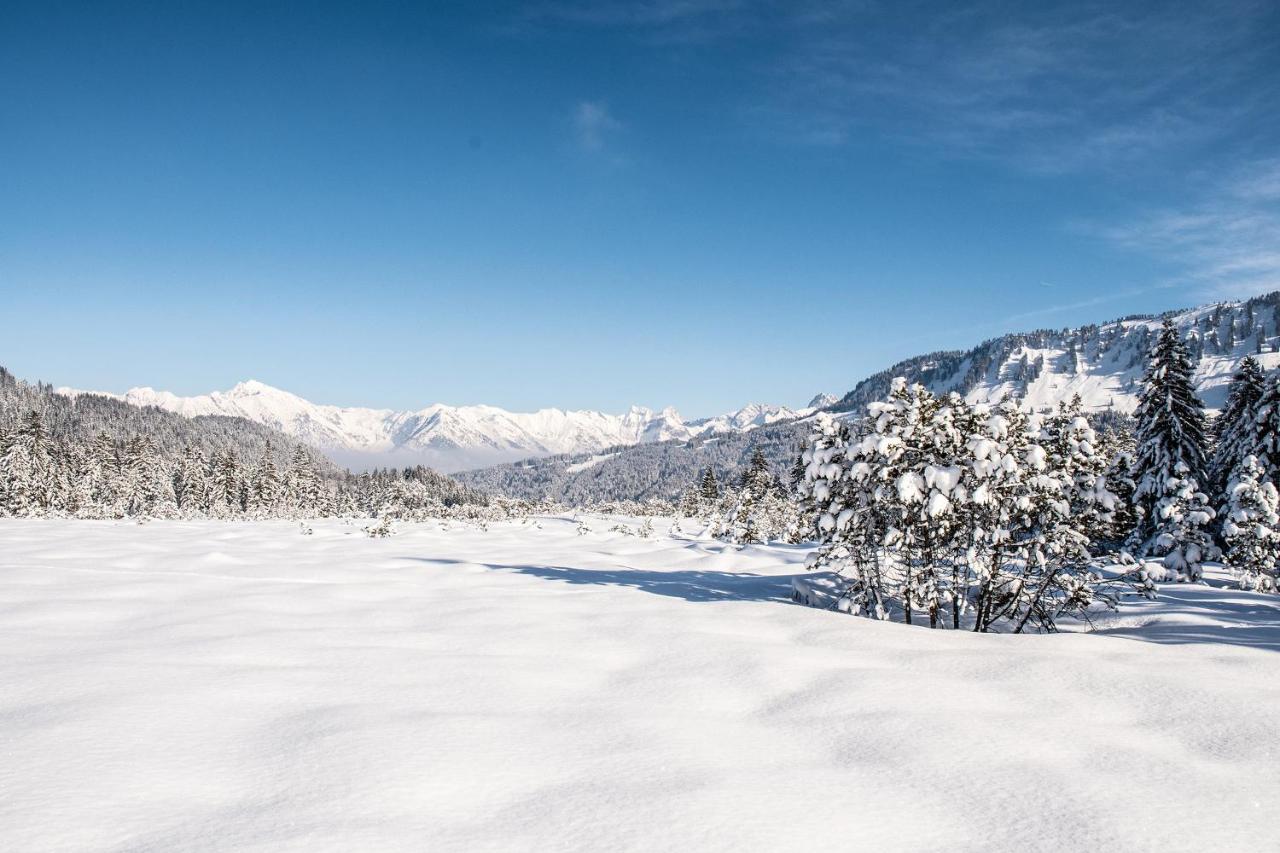 Hotel Alpengasthof Hornlepass Krauterhotel 3*