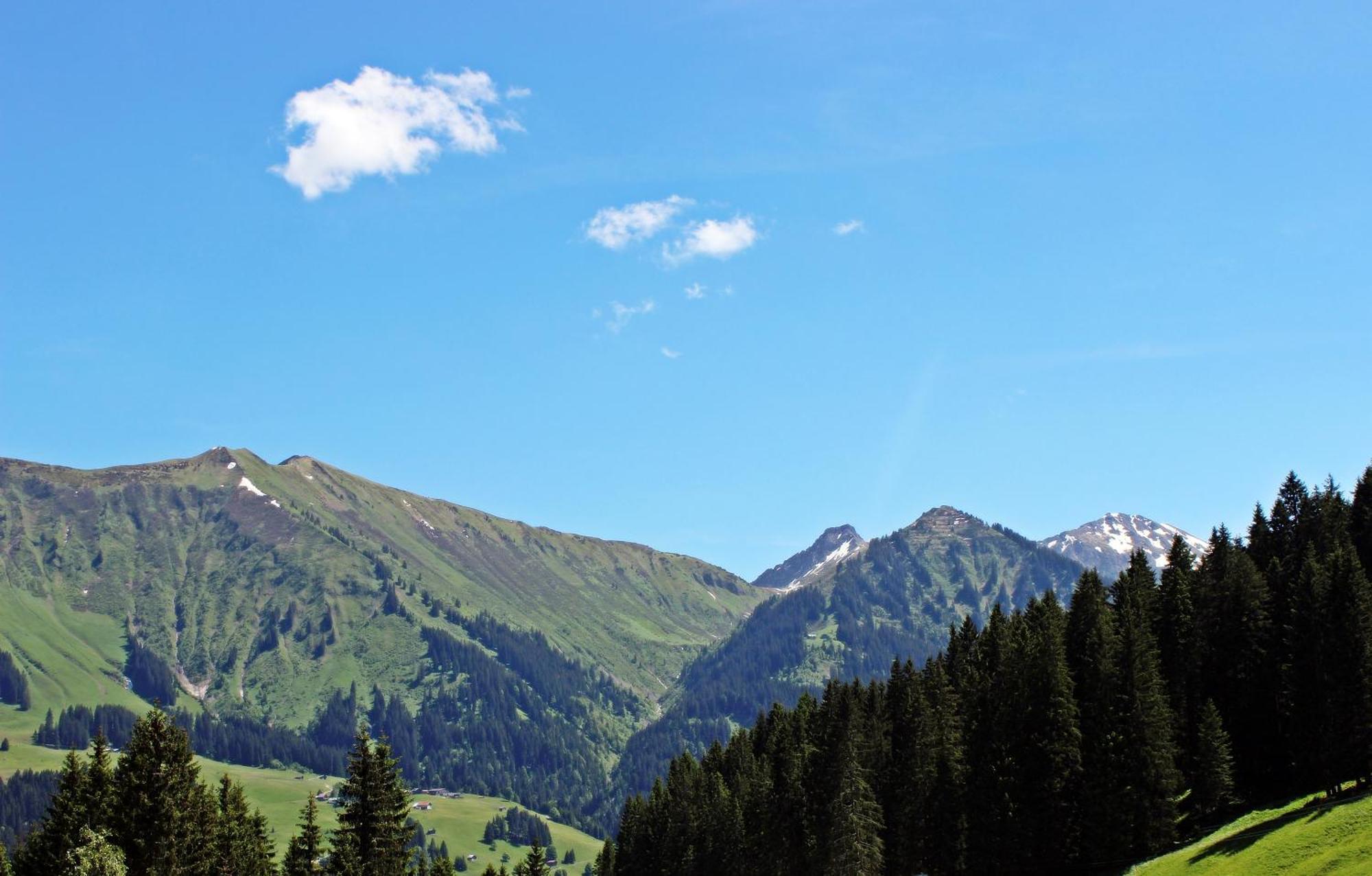 Alpengasthof Hornlepass Krauterhotel Hotel Riezlern