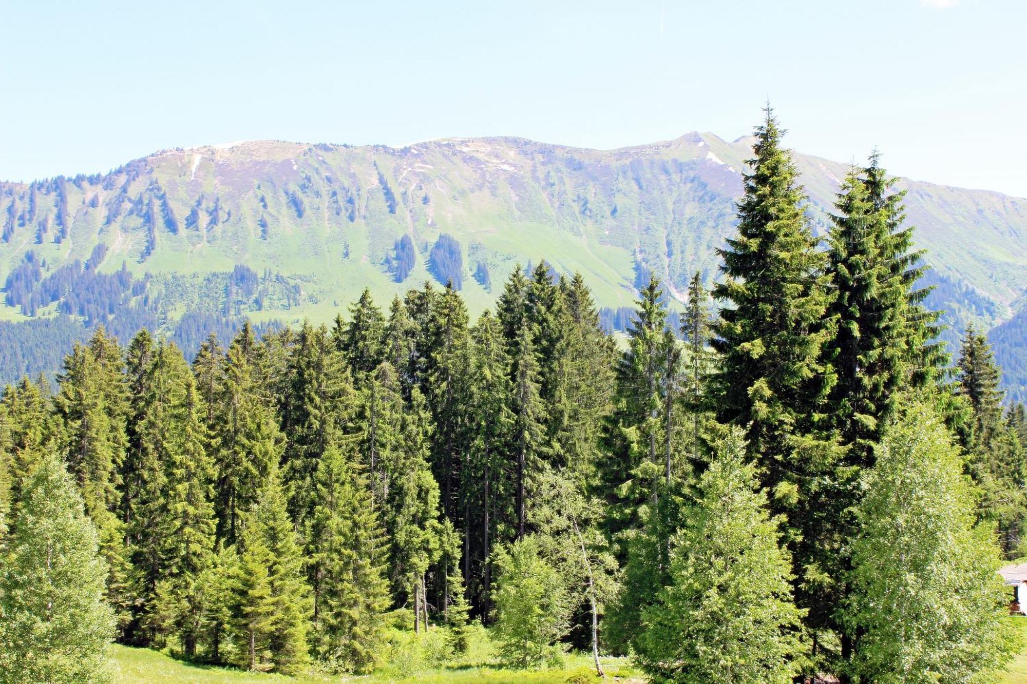 Alpengasthof Hornlepass Krauterhotel 3* Riezlern