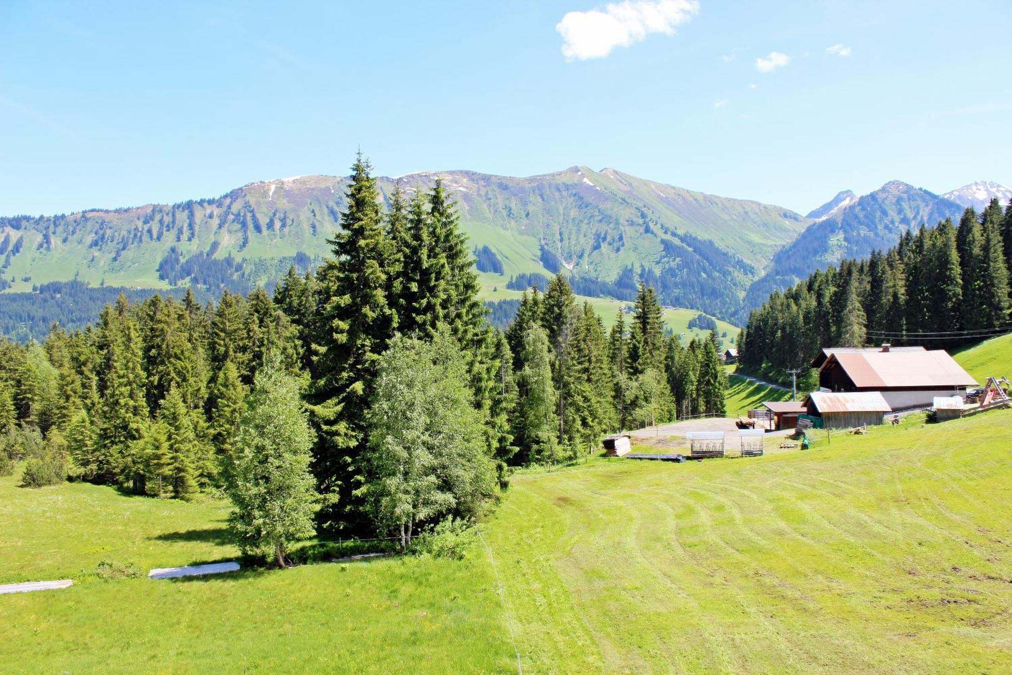 Alpengasthof Hornlepass Krauterhotel Hotel