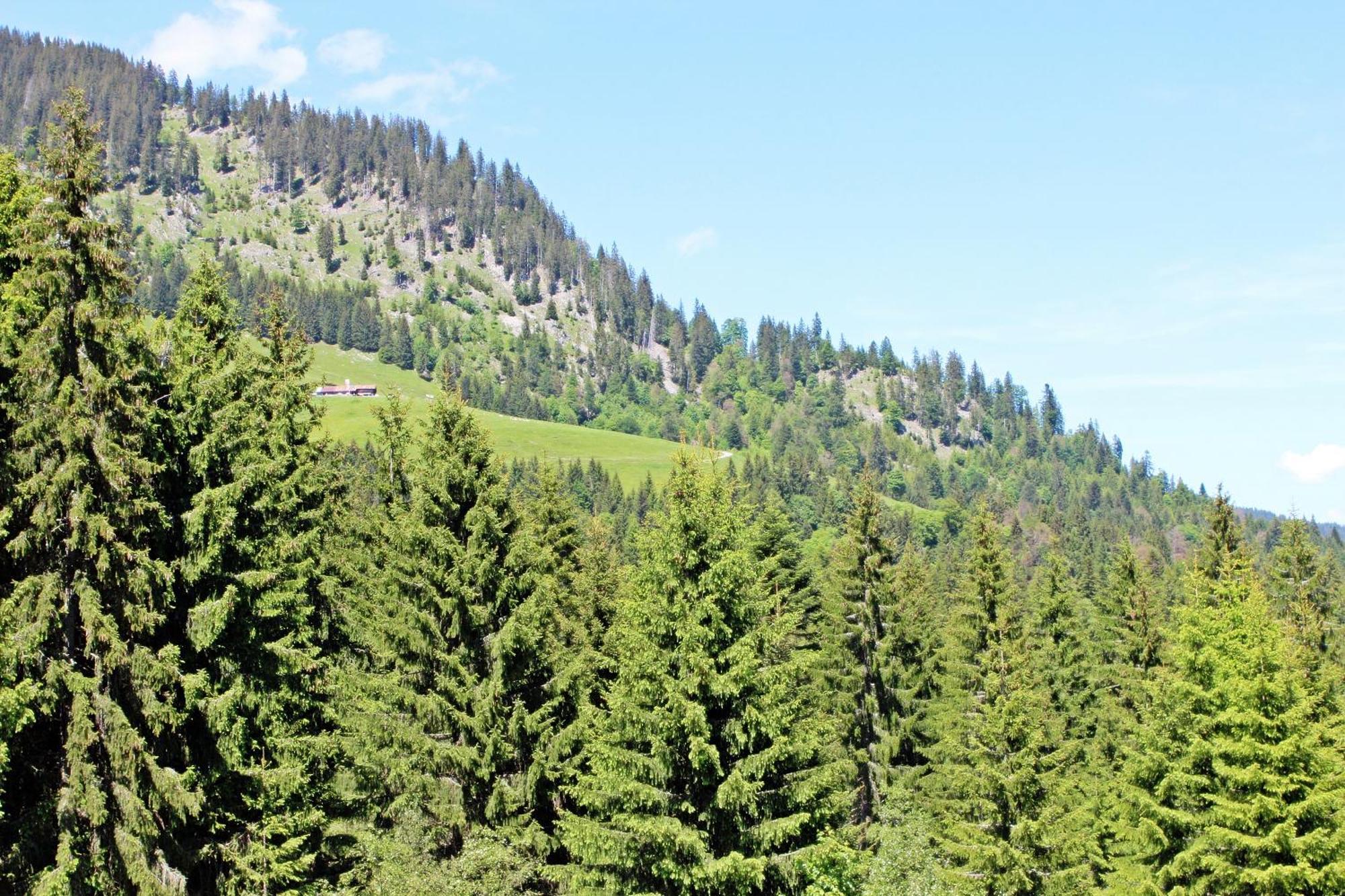 Alpengasthof Hornlepass Krauterhotel Hotel