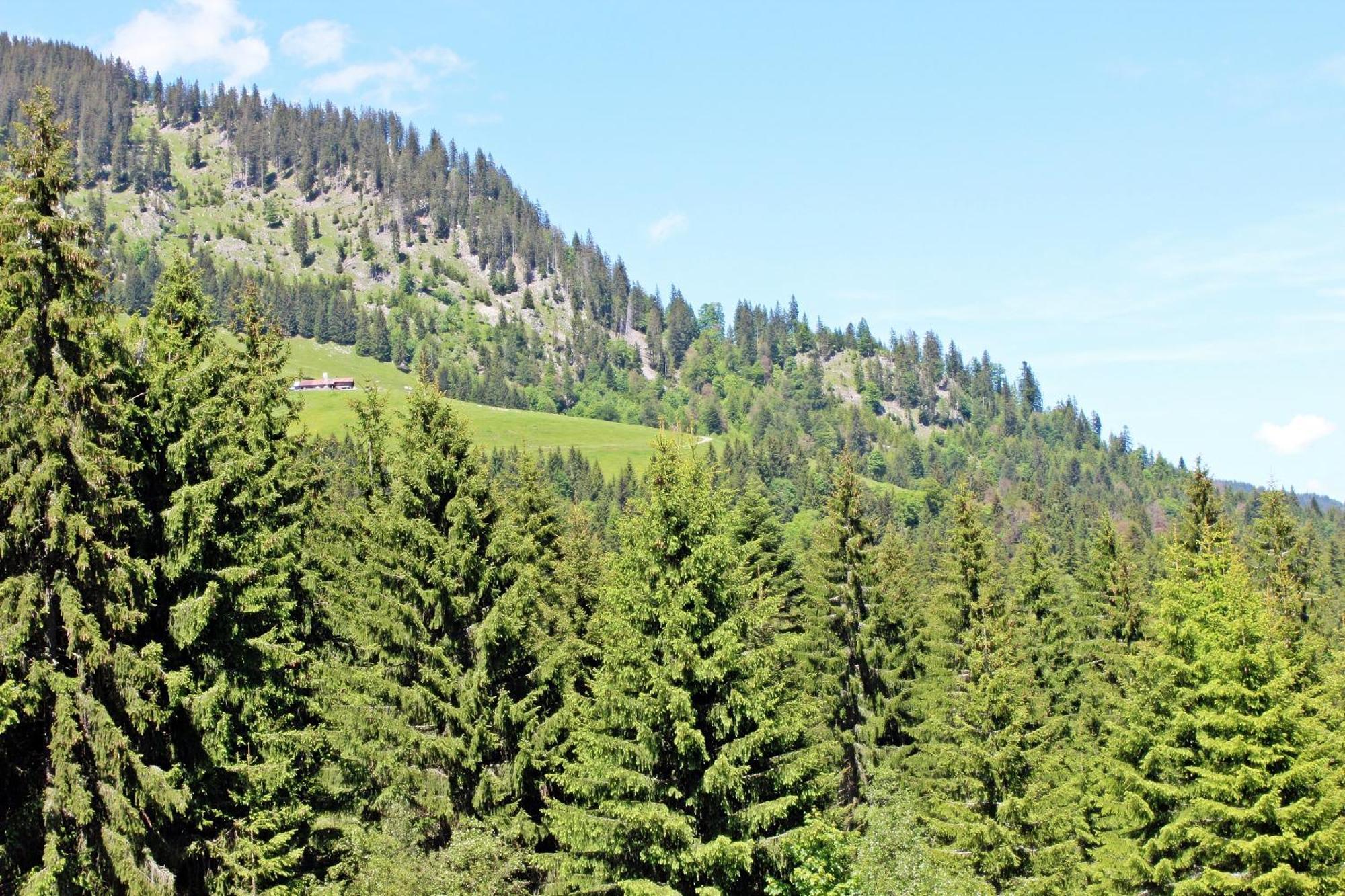 Alpengasthof Hornlepass Krauterhotel