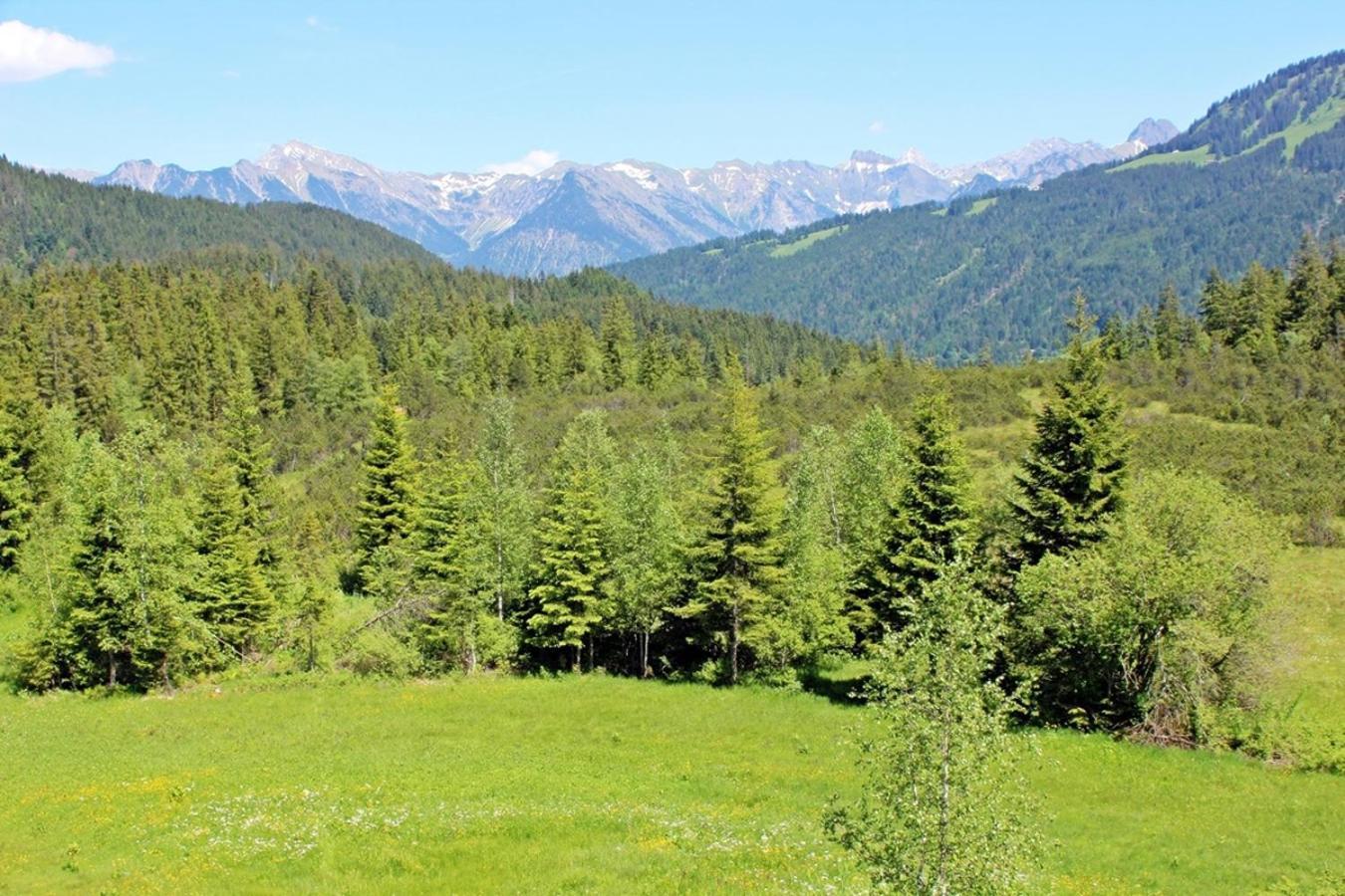 Alpengasthof Hornlepass Krauterhotel Hotel 3*